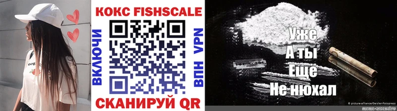 купить наркотик  Нижние Серги  Cocaine Fish Scale 