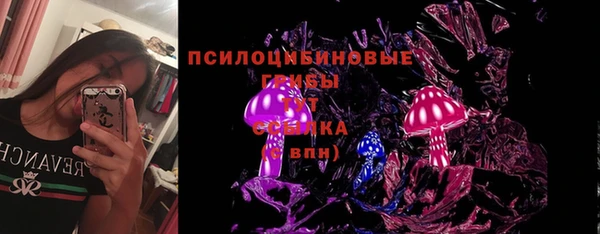 герыч Пестово