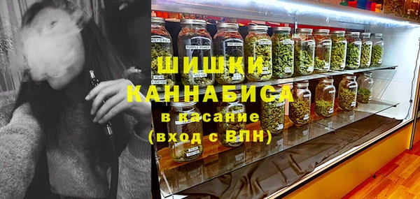 прущие грибы Гусев