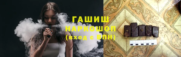 прущие грибы Гусев