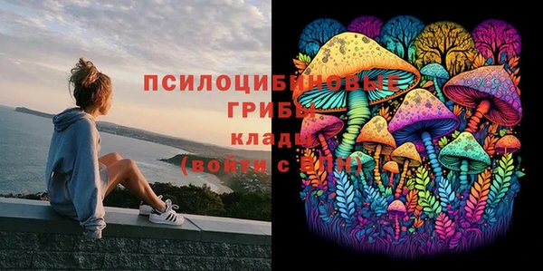экстази Переславль-Залесский