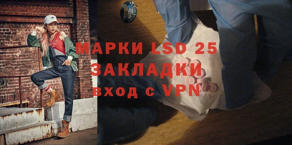 прущие грибы Гусев