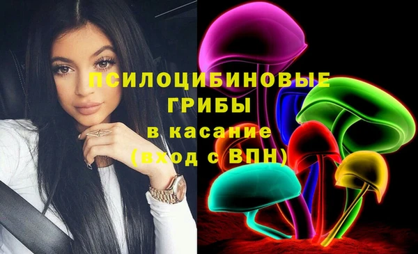 прущие грибы Гусев