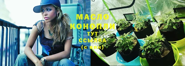 прущие грибы Гусев