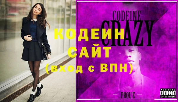 прущие грибы Гусев