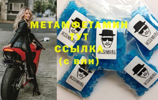 прущие грибы Гусев